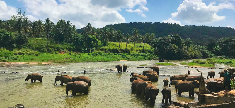 Tourism stakeholders in Sri Lanka take the digital route to boost global trade and tourist outreach