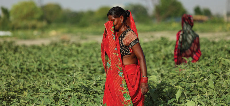 Intensifying Heat Waves: Faltering GDP & Rising Miseries!